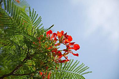 《小丑牌》移动端收入破440万美元 一周收入72.7万美元